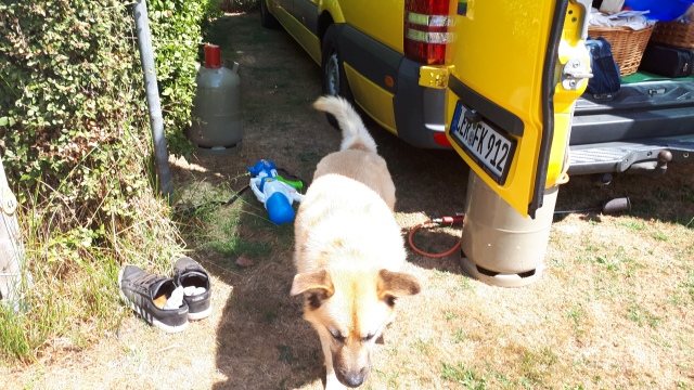 ../fotos/het_verlaat_2018/2018-07-29 13.41.22.jpg